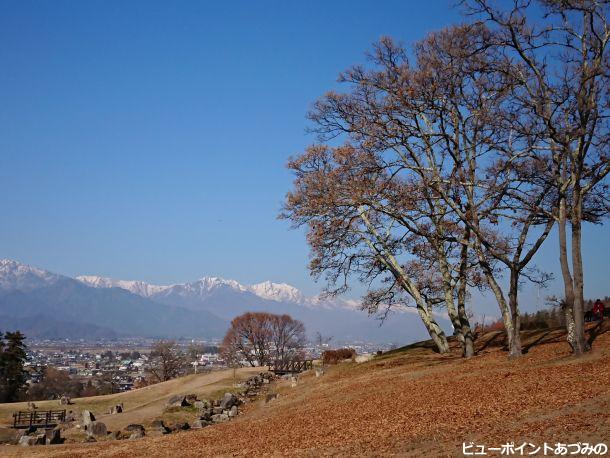 落葉樹と後立山連峰