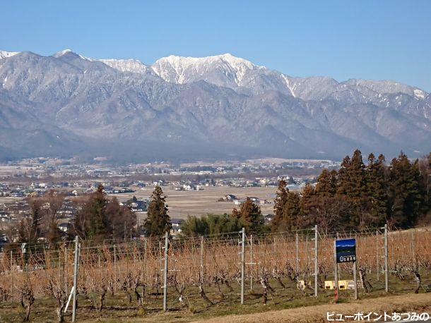 葡萄畑と餓鬼岳