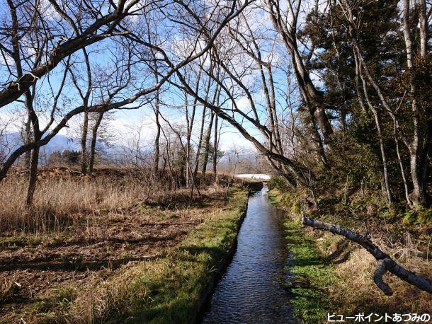 旧わさび田の湧水