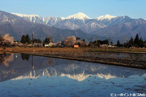 代掻き田に常念岳