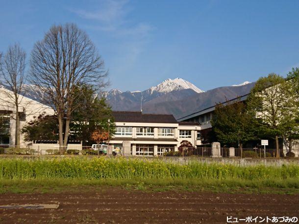 菜の花と学舎と常念