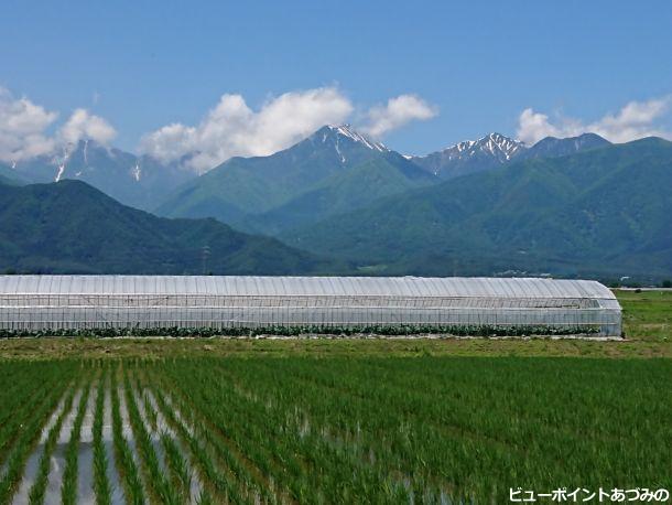 常念岳と横通岳