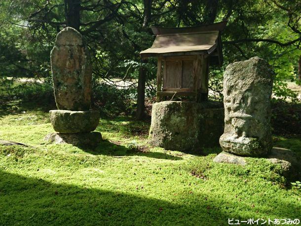 苔むした参道