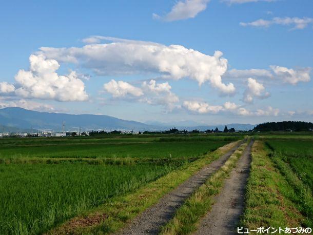 田舎路と夏空 安曇野の風景写真 ビューポイントあづみの