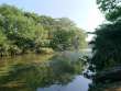 三角島の湧水路