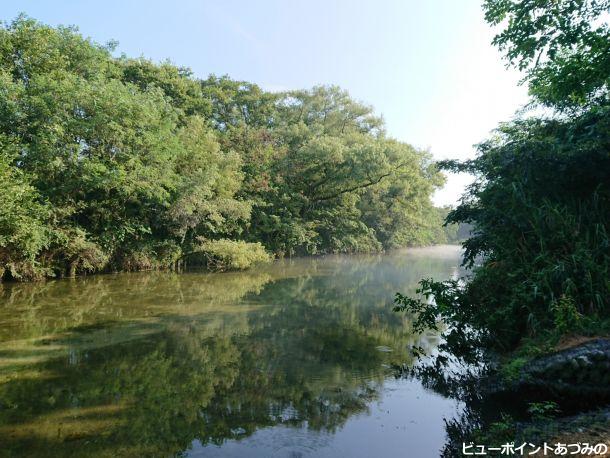 三角島の湧水路