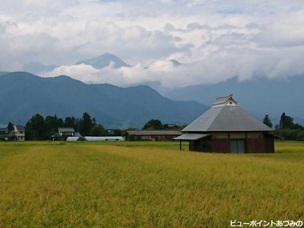 黄金色の田園と常念