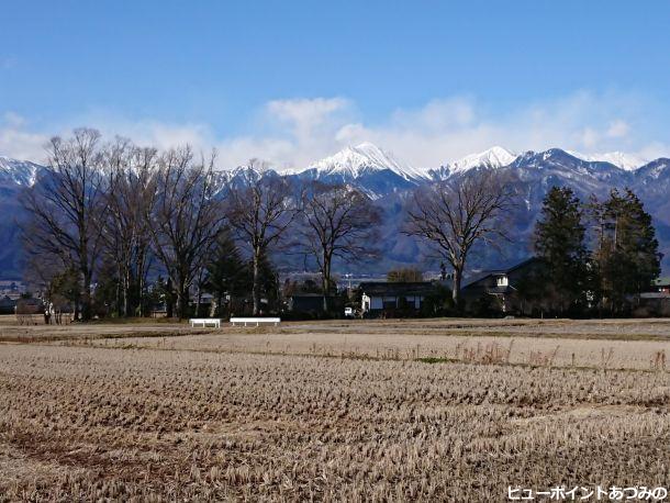 欅の屋敷林と常念岳