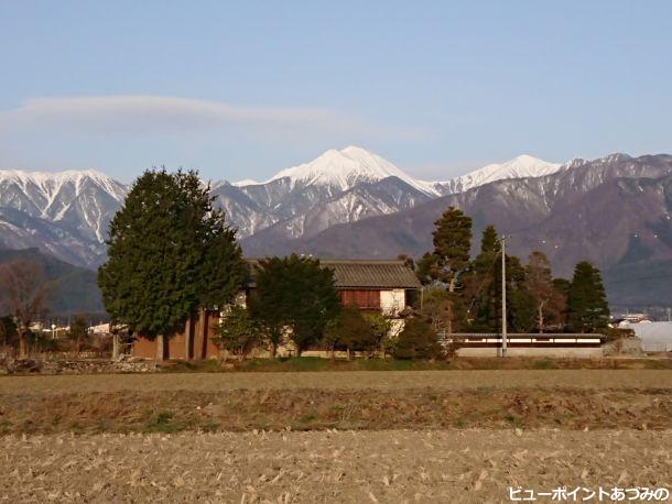 屋敷林と常念岳