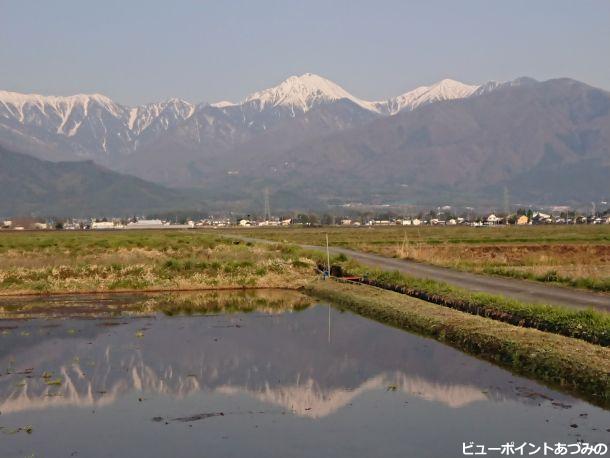 田植えに向けて