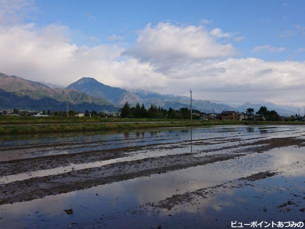 水田と信濃富士