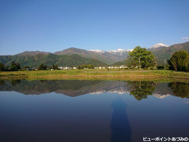 朝陽煌めく水鏡