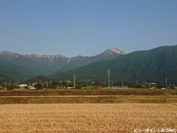 麦秋の常念岳
