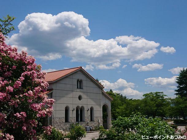 薔薇と夏空