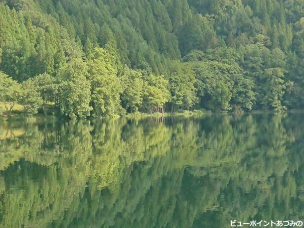 深緑の水鏡