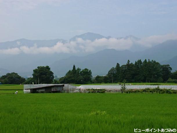 段丘林と餓鬼岳