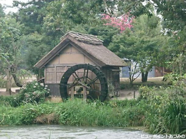 水車小屋と百日紅