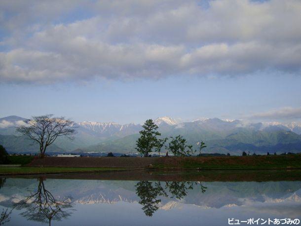 初夏の田園と常念岳