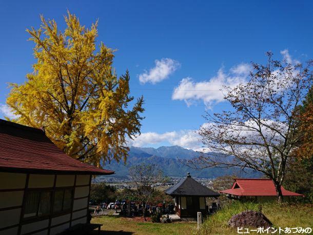 大銀杏と餓鬼岳