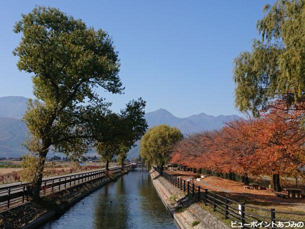 常念岳と紅桜