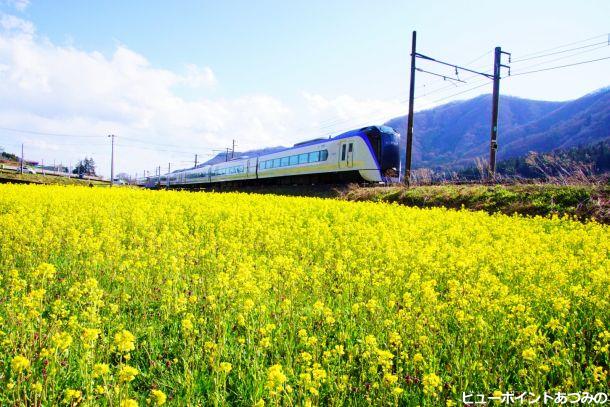 菜の花特急