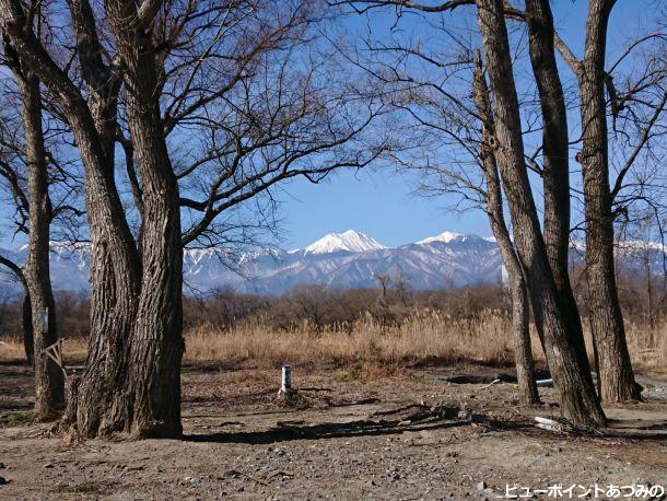 河畔林と常念岳