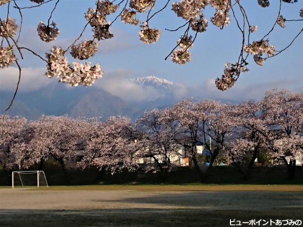 桜色の餓鬼岳