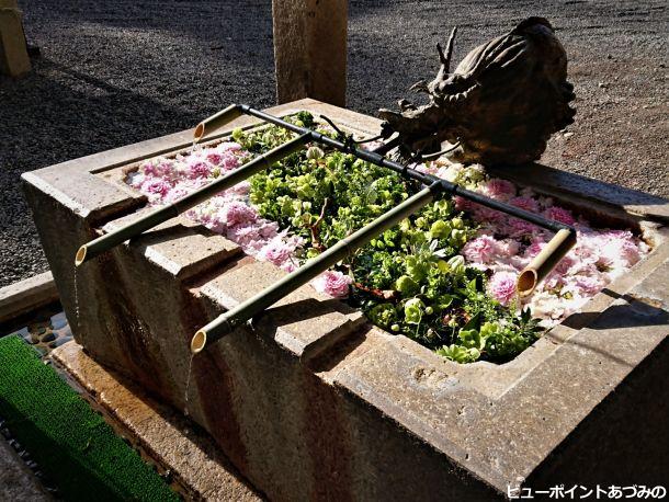 龍神と花手水