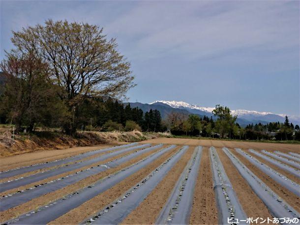 畝と後立山連峰