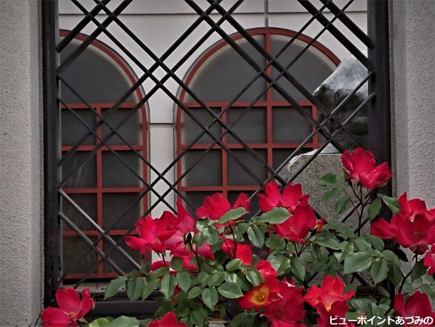 アーチ窓と薔薇