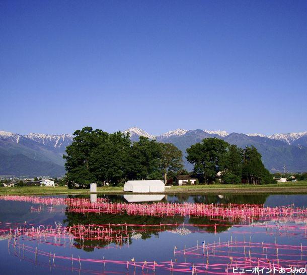 珍しい田園風景