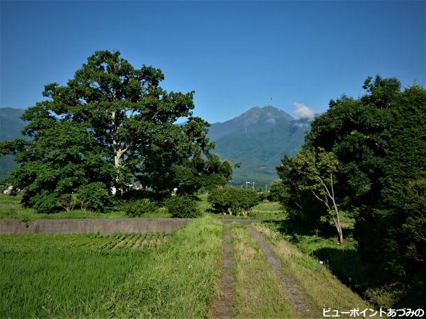 常念へ向かう畔道