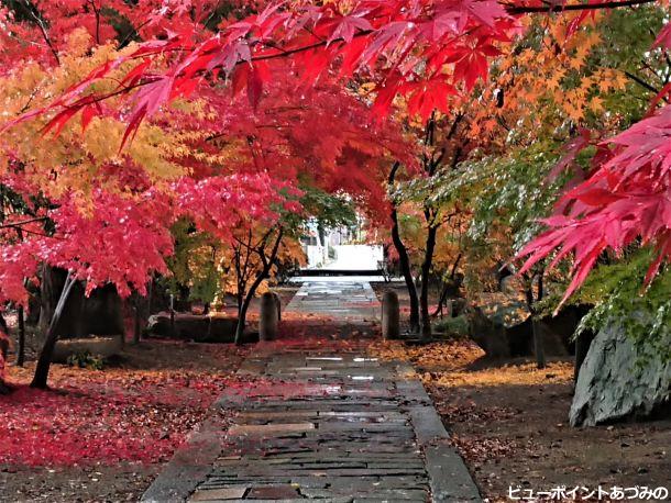 紅葉のトンネルと石畳