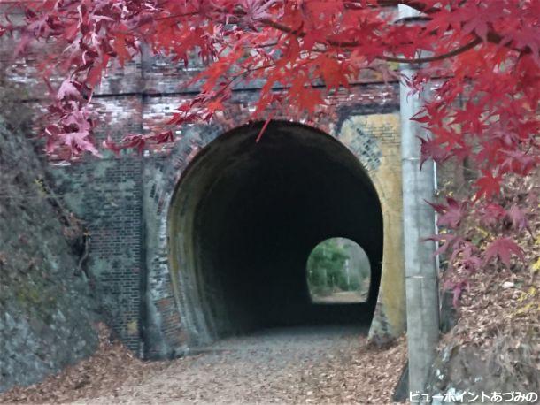 紅葉と漆久保トンネル