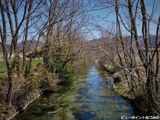 早春の湧水路