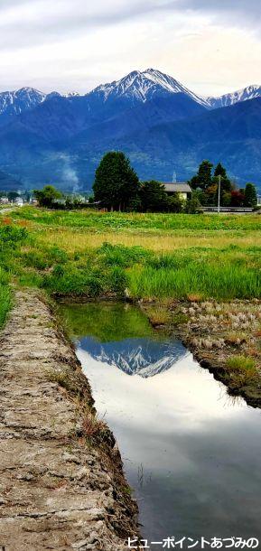 常念岳の美しい水鏡