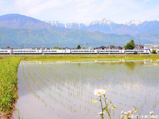 肥沃の大地を駆ける