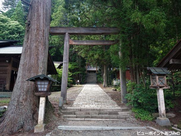 神秘の社叢と石畳