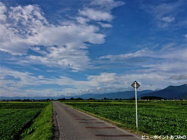 夏空に向かって