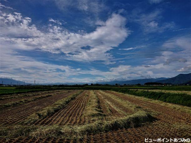 青刈りと夏空