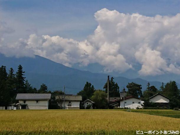 土蔵と屋敷林と煙突