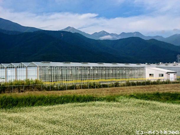 安曇野菜園と常念岳