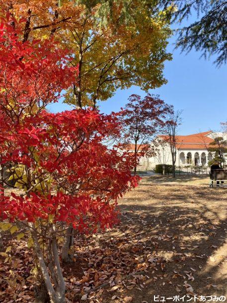 紅葉と近代美術館