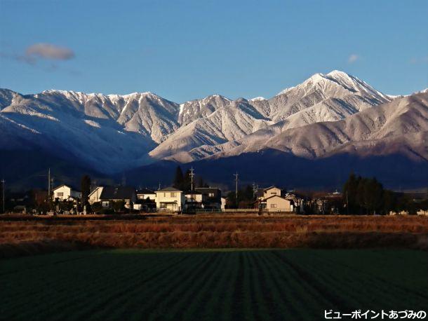 麦の芽吹きと常念岳