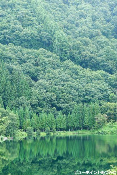 中綱湖の水鏡