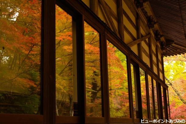 霊松寺の紅葉