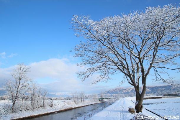 雪の万水川土手