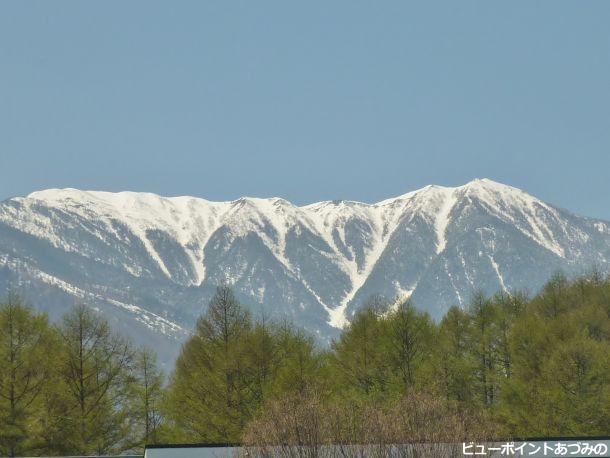 春の蝶ケ岳