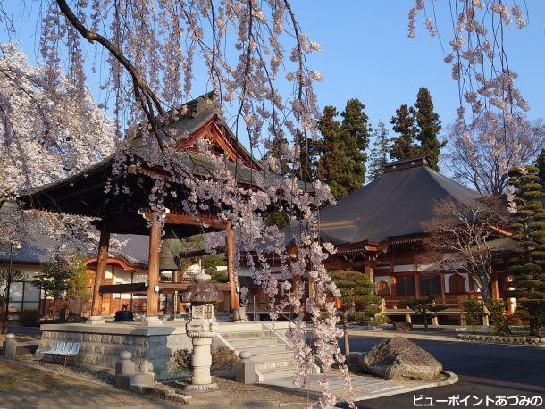 宗徳寺の花すだれ