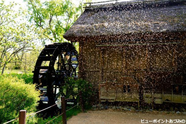 ユスリカ柱と水車小屋